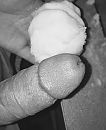De eerste sneeuwbal, foto 683x830, 0 reacties, 1 stemmen