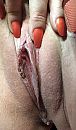 Die heeft t ook warm, foto 751x1280, 7 reacties, 56 stemmen