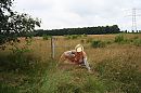Dit is mijn natuur plekje, foto 3888x2592, 54 reacties, 261 stemmen