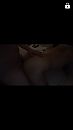Doggy, foto 1080x1920, 1 reacties, 9 stemmen