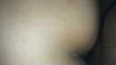 Dogy, film 00:00:06, 4 reacties, 66 stemmen