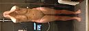 Douche, foto 1346x474, 4 reacties, 49 stemmen