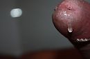 Drupje, foto 1282x855, 0 reacties, 1 stemmen