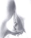 Een close-up voor jou...., foto 1706x2097, 10 reacties, 56 stemmen