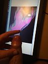 Er kwam ook al wat geil mee, foto 2448x3264, 0 reacties, 2 stemmen