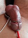 Estim, foto 2448x3264, 1 reacties, 6 stemmen