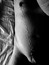 Explosive stuff, foto 480x640, 2 reacties, 7 stemmen