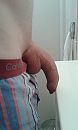 Ff uit de boxer, foto 1536x2560, 8 reacties, 19 stemmen
