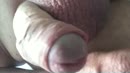 Ff, film 00:00:11, 10 reacties, 36 stemmen