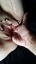 Fisten, foto 2250x4000, 3 reacties, 16 stemmen