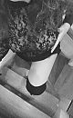 Ga je mee..., foto 798x1280, 5 reacties, 27 stemmen