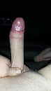 Geil  of niet?, foto 2250x4000, 1 reacties, 3 stemmen