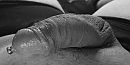 Geil? ..., foto 1980x1000, 2 reacties, 10 stemmen