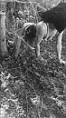 Geile slet doet opdracht, foto 640x1136, 4 reacties, 27 stemmen