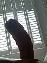 Geile zondagmorgen, foto 2079x2780, 1 reacties, 0 stemmen