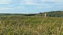 Gevonden, foto 3052x1717, 2 reacties, 2 stemmen
