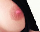 Gewoon...., foto 2448x1988, 4 reacties, 25 stemmen