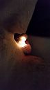 Gezet, foto 1836x3264, 1 reacties, 1 stemmen