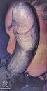 Goedemorgen!!!!, foto 1605x3100, 7 reacties, 42 stemmen