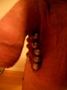 Grotere balletjes, foto 3000x4000, 3 reacties, 3 stemmen