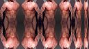 HUMAN TAFELKLEEDJE 4, foto 4000x2234, 0 reacties, 0 stemmen