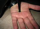Hak op de hand krijgen, foto 2272x1704, 3 reacties, 6 stemmen