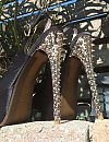 Halleluja , how horny ..., foto 2245x2911, 6 reacties, 29 stemmen