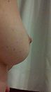 Handje vol, foto 1152x2048, 9 reacties, 29 stemmen