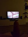 Harde met porno kijken, foto 3000x4000, 2 reacties, 1 stemmen