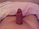Hardhout 1-2, foto 2592x1936, 0 reacties, 2 stemmen