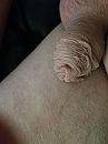 Heel slap, foto 2448x3264, 1 reacties, 0 stemmen