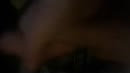 Heerlijk geil;), film 00:00:28, 1 reacties, 1 stemmen