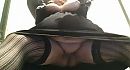Helemaal, foto 1873x1021, 17 reacties, 56 stemmen