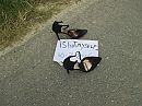 Highheels, foto 2304x1728, 19 reacties, 51 stemmen
