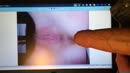 Hij word lekker hard, film 00:00:16, 1 reacties, 2 stemmen