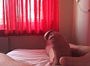 Hij staat al op..., foto 2592x1936, 1 reacties, 3 stemmen