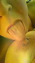 Hmmmmmm......, foto 1080x1920, 30 reacties, 134 stemmen