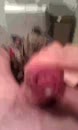 Ik, film 00:00:19, 2 reacties, 6 stemmen