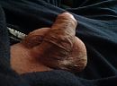 Ikke, foto 2592x1936, 1 reacties, 2 stemmen