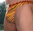 In string, foto 1215x1149, 15 reacties, 36 stemmen