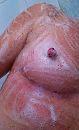 Inzepen, foto 358x584, 3 reacties, 19 stemmen