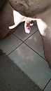 Is er weer, foto 1836x3264, 0 reacties, 0 stemmen