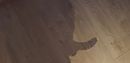 Its not me, foto 3208x1559, 1 reacties, 2 stemmen