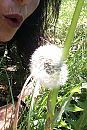 Ja toch .?.. Niet dan!.... ;)), foto 863x1280, 4 reacties, 16 stemmen