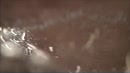 Jacuzzi, film 00:00:00, 9 reacties, 123 stemmen
