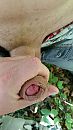 Je moet de smid smeden.., foto 2250x4000, 4 reacties, 9 stemmen