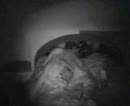 Just another Partyfuck, film 00:00:00, 5 reacties, 92 stemmen