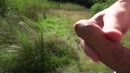 Kale ballen veld bos waterplas, film 00:00:00, 5 reacties, 39 stemmen