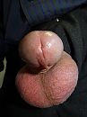 Kale ballen 6, foto 3000x4000, 1 reacties, 4 stemmen