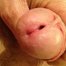 Kiekeboe, foto 514x514, 3 reacties, 9 stemmen